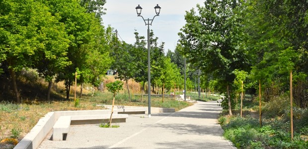 «Ανάσα» δροσιάς και πρασίνου στην παρόχθια ζώνη του Πηνειού 